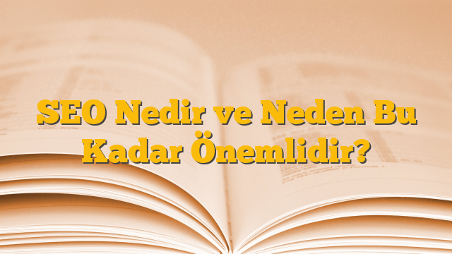 SEO Nedir ve Neden Bu Kadar Önemlidir?