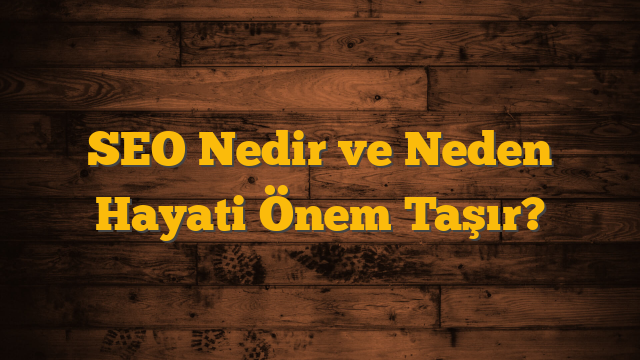 SEO Nedir ve Neden Hayati Önem Taşır?