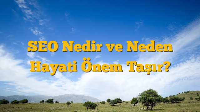 SEO Nedir ve Neden Hayati Önem Taşır?