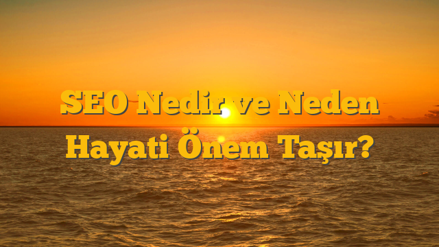 SEO Nedir ve Neden Hayati Önem Taşır?