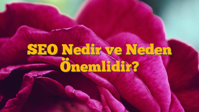 SEO Nedir ve Neden Önemlidir?