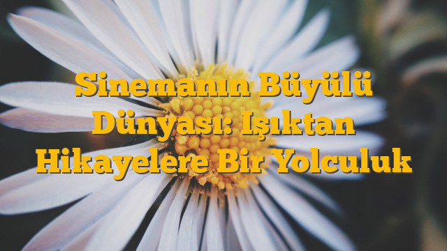 Sinemanın Büyülü Dünyası: Işıktan Hikayelere Bir Yolculuk