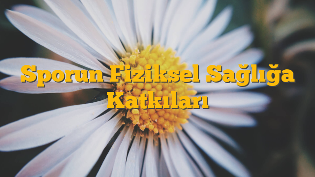 Sporun Fiziksel Sağlığa Katkıları