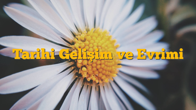 Tarihi Gelişim ve Evrimi