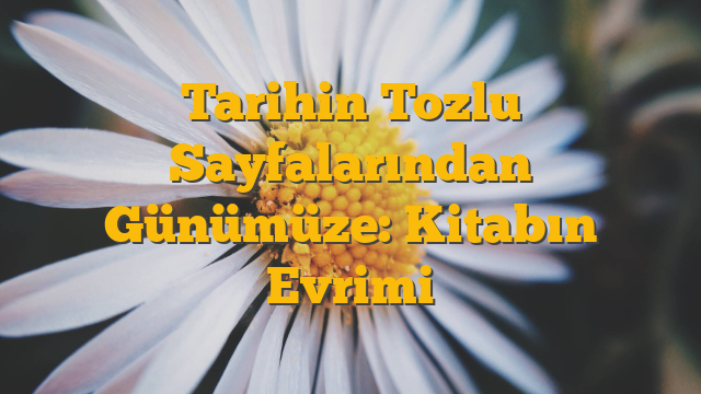 Tarihin Tozlu Sayfalarından Günümüze: Kitabın Evrimi