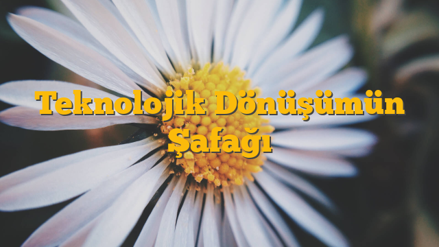 Teknolojik Dönüşümün Şafağı