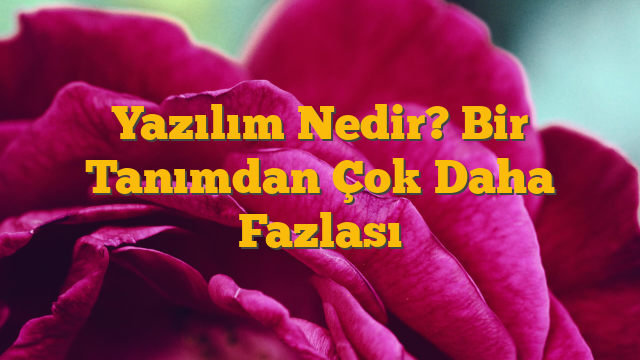 Yazılım Nedir? Bir Tanımdan Çok Daha Fazlası
