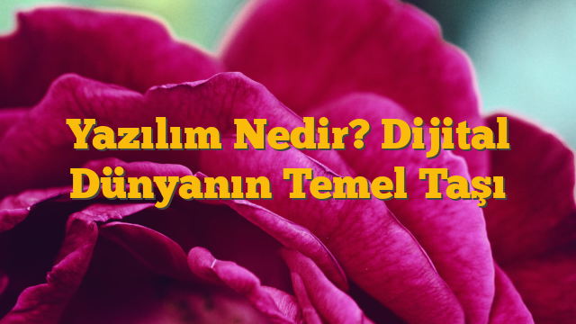 Yazılım Nedir? Dijital Dünyanın Temel Taşı