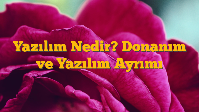 Yazılım Nedir? Donanım ve Yazılım Ayrımı