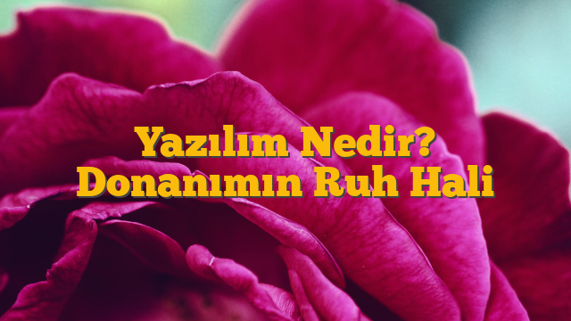 Yazılım Nedir? Donanımın Ruh Hali