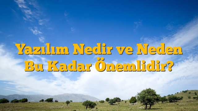 Yazılım Nedir ve Neden Bu Kadar Önemlidir?