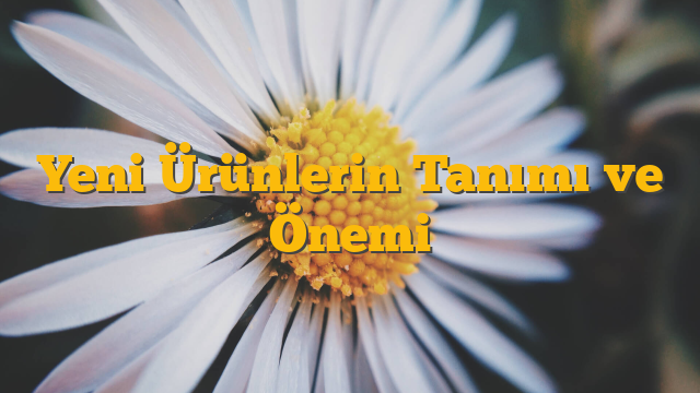 Yeni Ürünlerin Tanımı ve Önemi