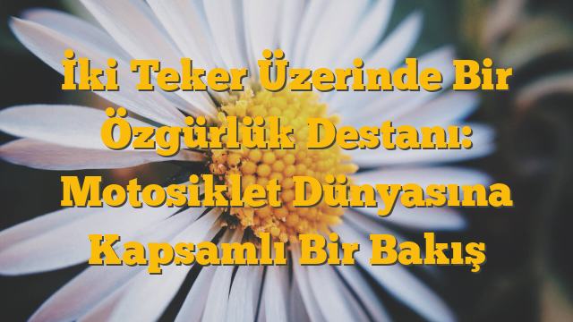 İki Teker Üzerinde Bir Özgürlük Destanı: Motosiklet Dünyasına Kapsamlı Bir Bakış