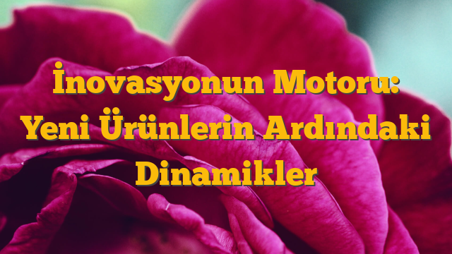 İnovasyonun Motoru: Yeni Ürünlerin Ardındaki Dinamikler