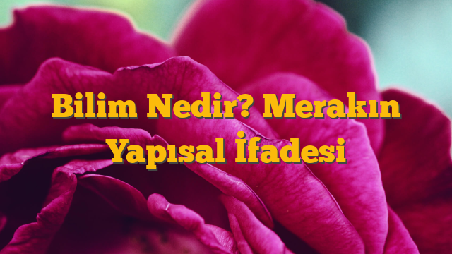 Bilim Nedir? Merakın Yapısal İfadesi