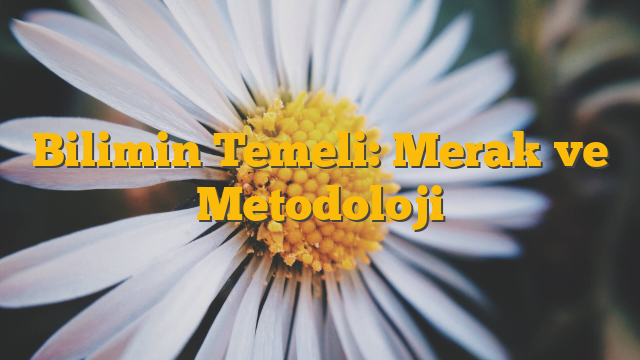 Bilimin Temeli: Merak ve Metodoloji