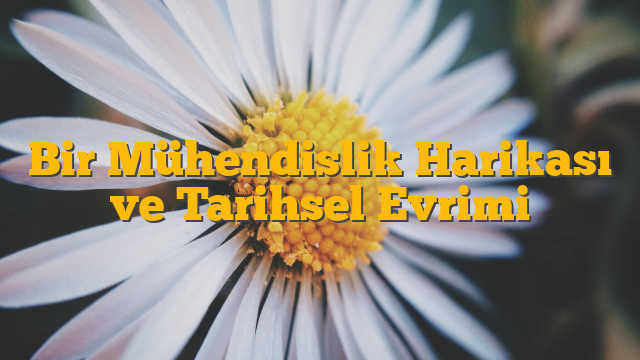 Bir Mühendislik Harikası ve Tarihsel Evrimi
