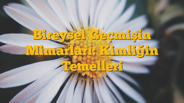 Bireysel Geçmişin Mimarları: Kimliğin Temelleri