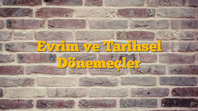 Evrim ve Tarihsel Dönemeçler