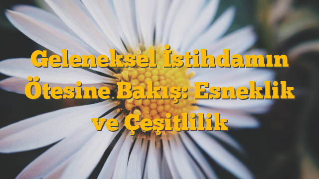 Geleneksel İstihdamın Ötesine Bakış: Esneklik ve Çeşitlilik