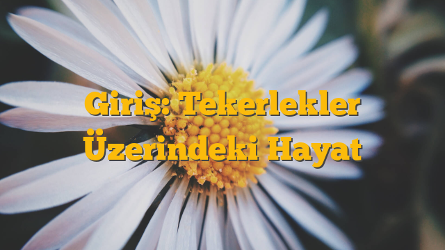 Giriş: Tekerlekler Üzerindeki Hayat