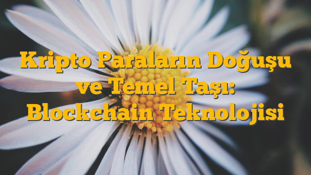 Kripto Paraların Doğuşu ve Temel Taşı: Blockchain Teknolojisi