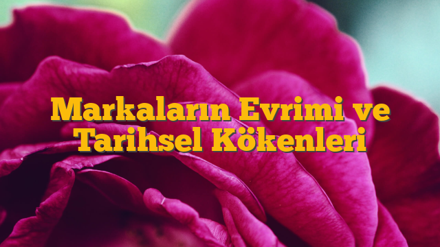 Markaların Evrimi ve Tarihsel Kökenleri
