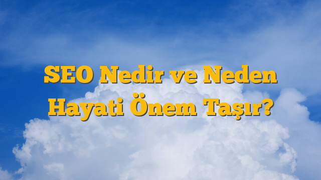 SEO Nedir ve Neden Hayati Önem Taşır?