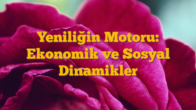 Yeniliğin Motoru: Ekonomik ve Sosyal Dinamikler