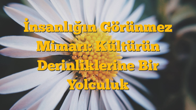 İnsanlığın Görünmez Mimarı: Kültürün Derinliklerine Bir Yolculuk
