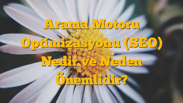 Arama Motoru Optimizasyonu (SEO) Nedir ve Neden Önemlidir?