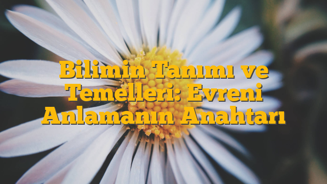 Bilimin Tanımı ve Temelleri: Evreni Anlamanın Anahtarı