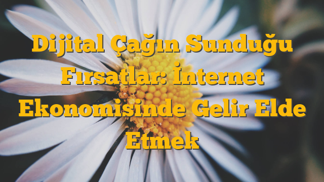 Dijital Çağın Sunduğu Fırsatlar: İnternet Ekonomisinde Gelir Elde Etmek