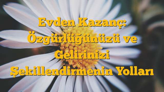 Evden Kazanç: Özgürlüğünüzü ve Gelirinizi Şekillendirmenin Yolları