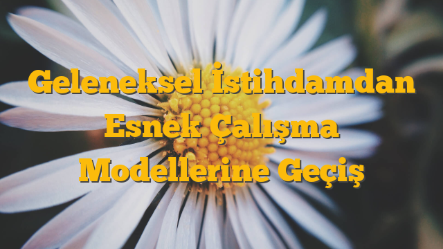 Geleneksel İstihdamdan Esnek Çalışma Modellerine Geçiş