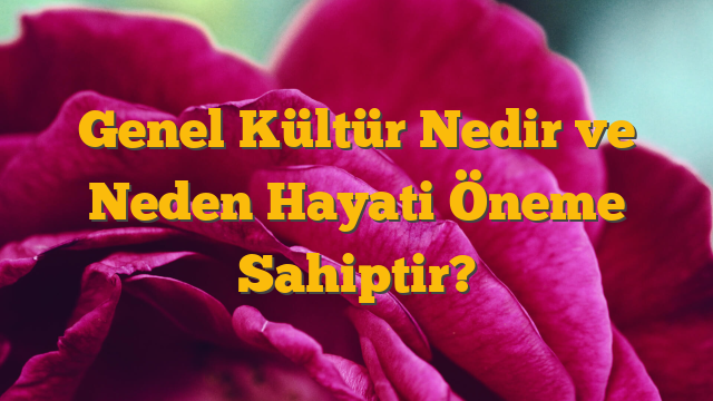 Genel Kültür Nedir ve Neden Hayati Öneme Sahiptir?