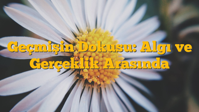Geçmişin Dokusu: Algı ve Gerçeklik Arasında
