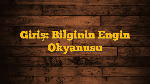 Giriş: Bilginin Engin Okyanusu