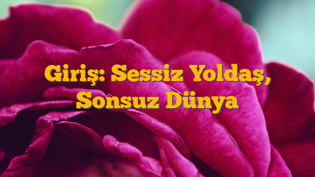 Giriş: Sessiz Yoldaş, Sonsuz Dünya