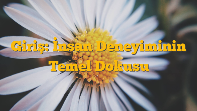 Giriş: İnsan Deneyiminin Temel Dokusu
