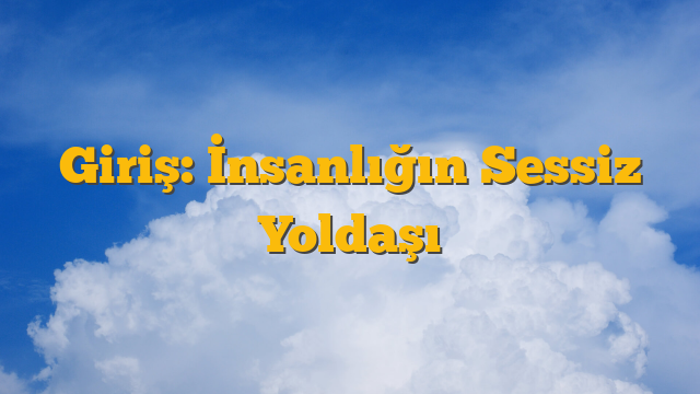 Giriş: İnsanlığın Sessiz Yoldaşı
