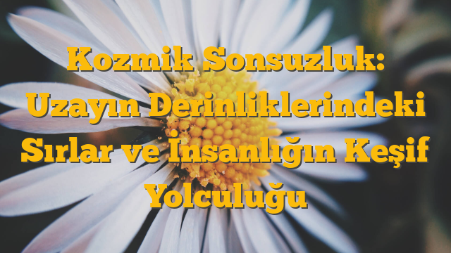 Kozmik Sonsuzluk: Uzayın Derinliklerindeki Sırlar ve İnsanlığın Keşif Yolculuğu