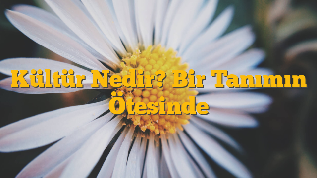 Kültür Nedir? Bir Tanımın Ötesinde