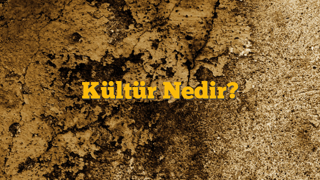 Kültür Nedir?