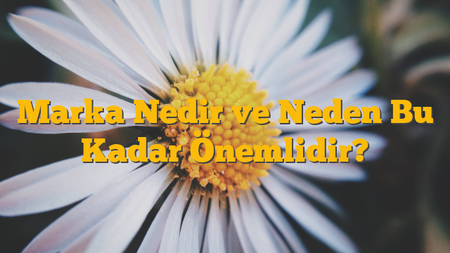 Marka Nedir ve Neden Bu Kadar Önemlidir?