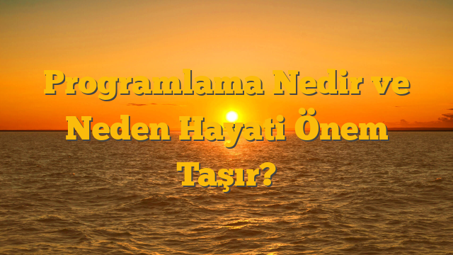 Programlama Nedir ve Neden Hayati Önem Taşır?