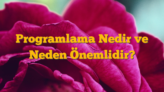 Programlama Nedir ve Neden Önemlidir?