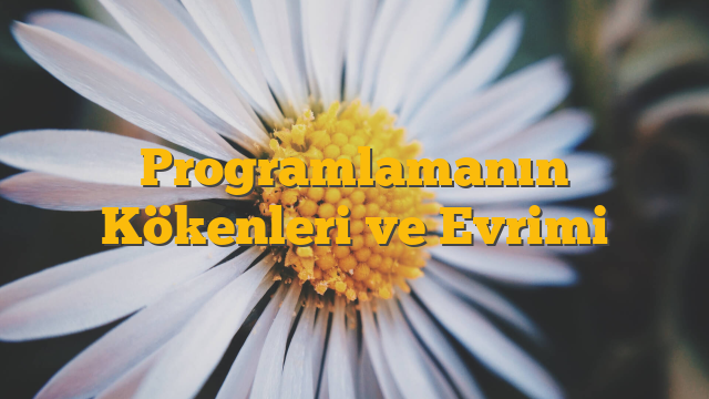 Programlamanın Kökenleri ve Evrimi