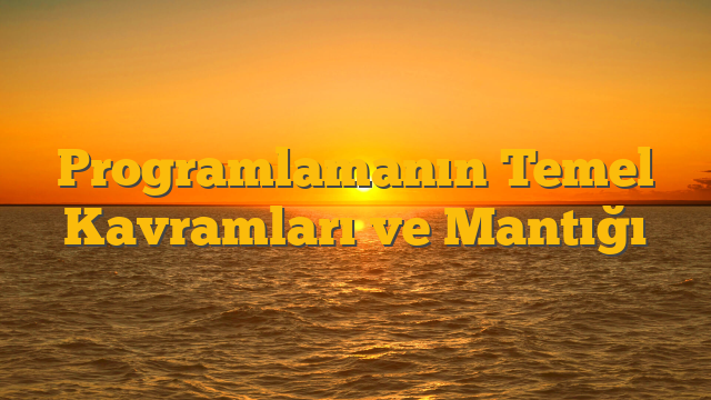 Programlamanın Temel Kavramları ve Mantığı