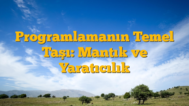 Programlamanın Temel Taşı: Mantık ve Yaratıcılık